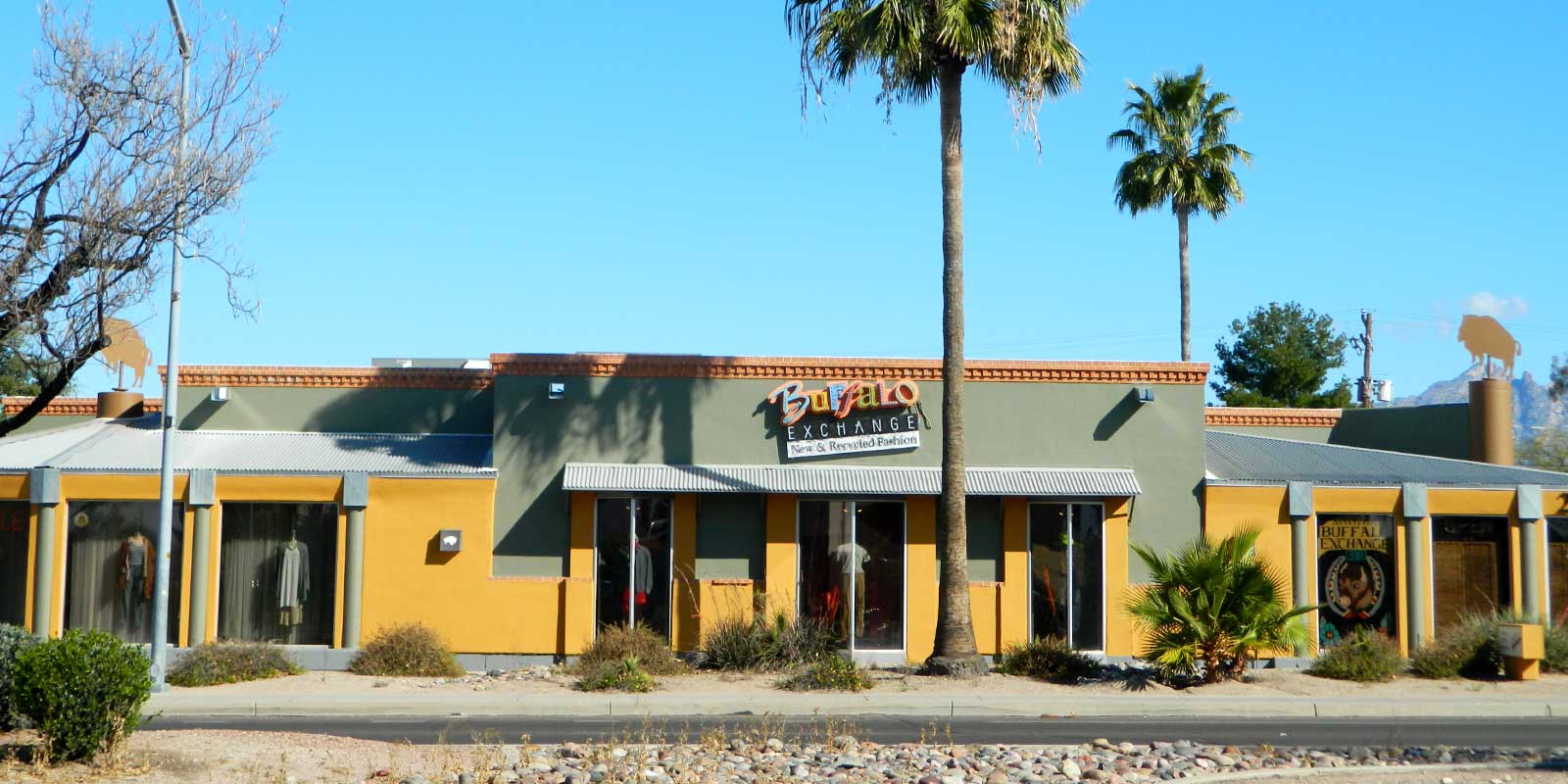 Exterior of Buffalo Exchange Tucson