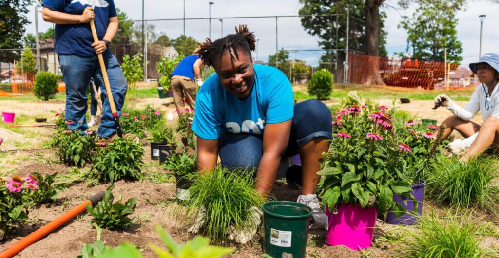 Volunteers planting in a garden