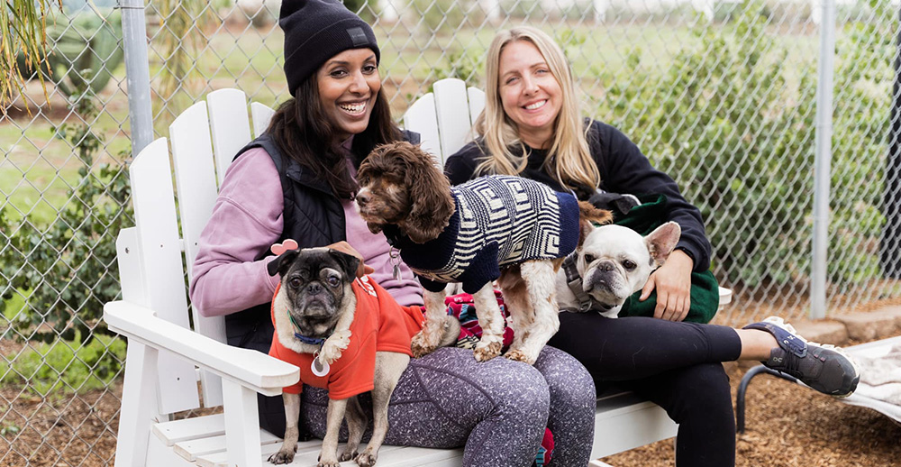 2 women sitting with 3 dogs in their laps