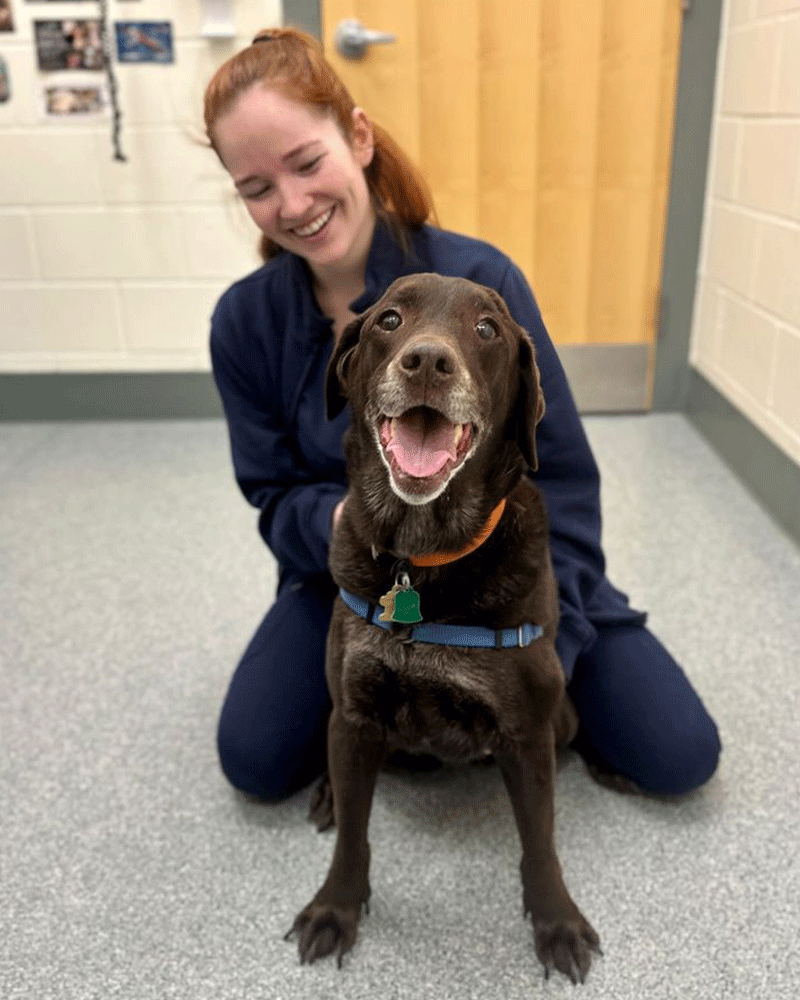 women sitting and smiling from behind looking at brown dog sitting and posing for photo