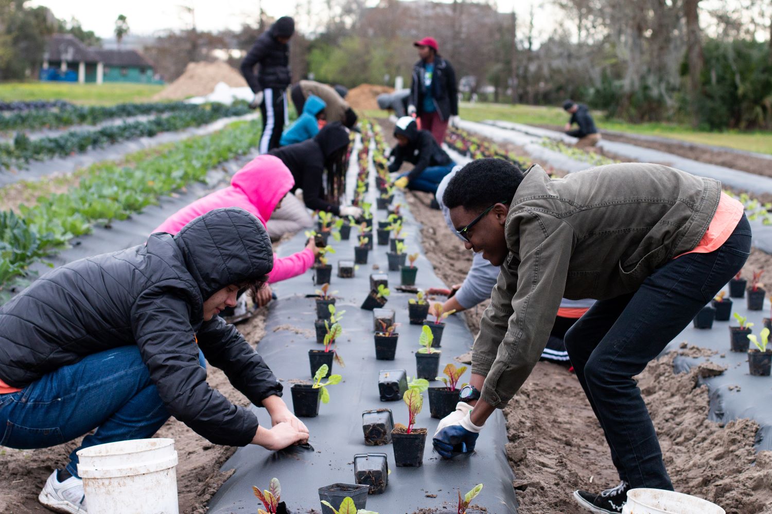 Volunteers at Grow Dat Youth Farm