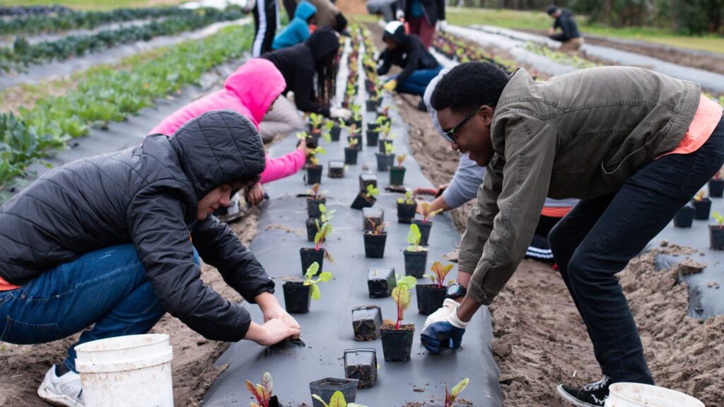 Volunteers at Grow Dat Youth Farm