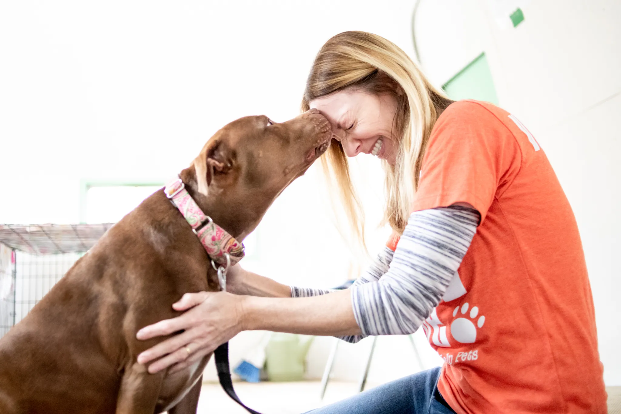 AOK #40 Dog licking caretaker's forehead